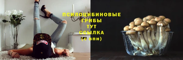 прущий лед Алексин