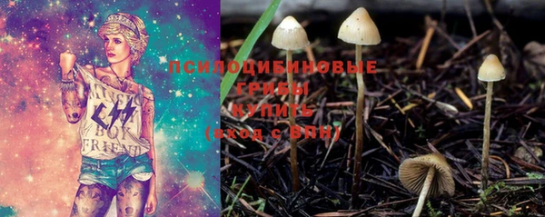 прущий лед Алексин