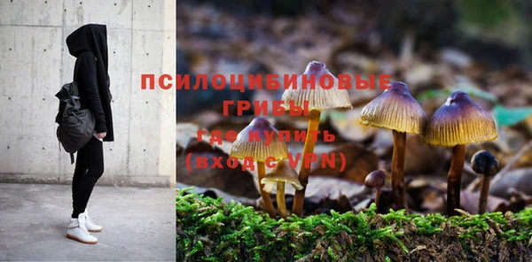 прущий лед Алексин