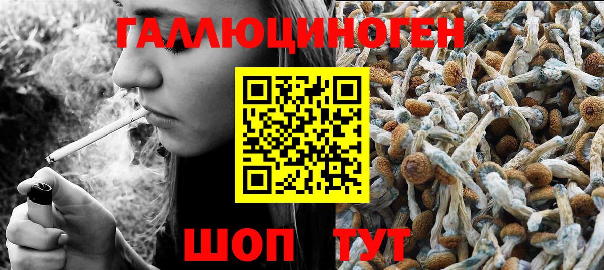 Галлюциногенные грибы Magic Shrooms  Вход с VPN  Набережные Челны  Галлюциногенные грибы Cubensis 